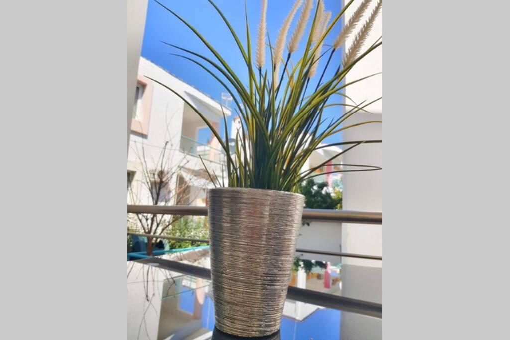 Polychrono New 2 Bedroom Apt. Just By The Sea! Bagian luar foto